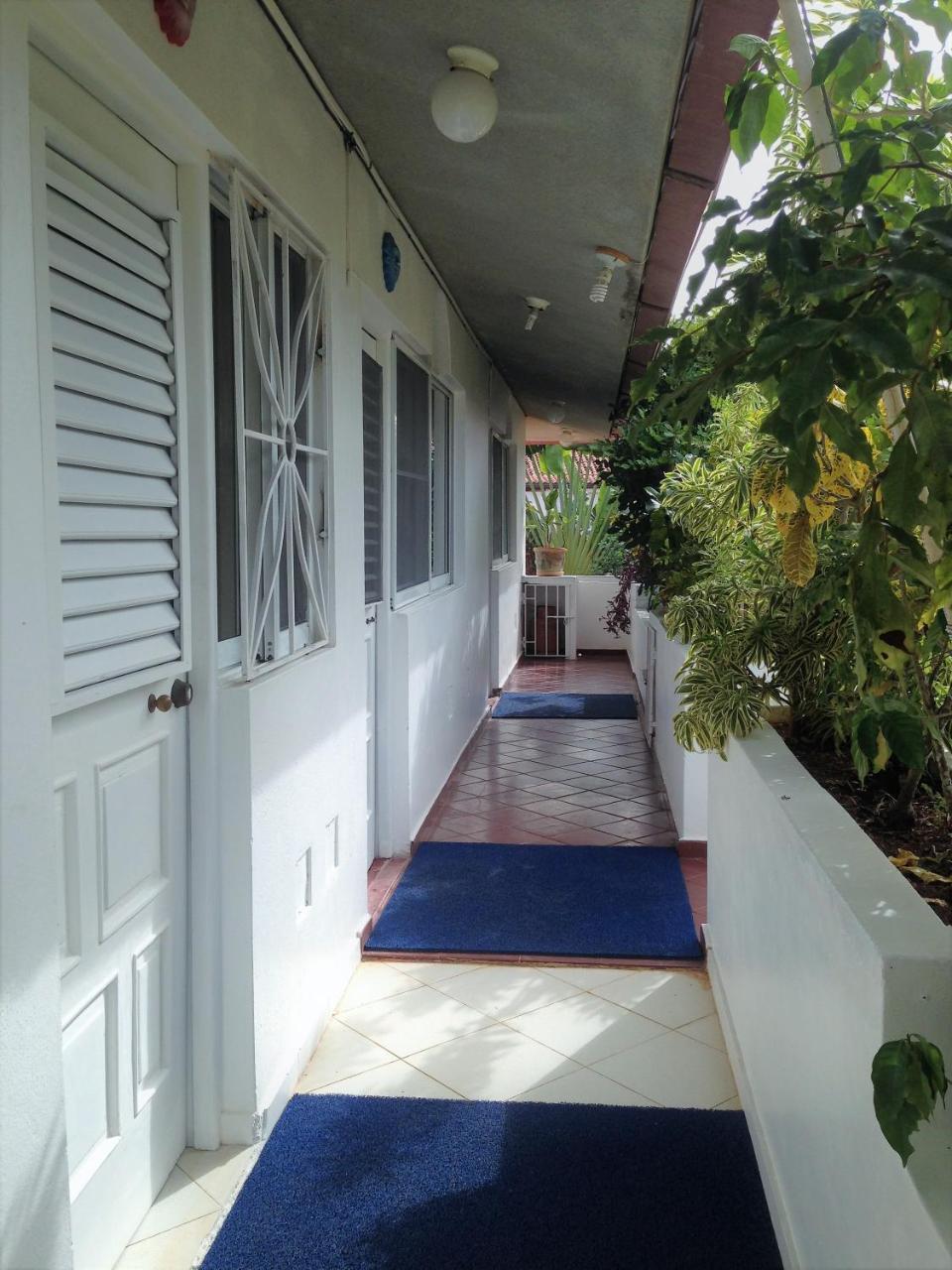 Casa Felicita B&B Y Apartamentos 巴亚希贝 外观 照片